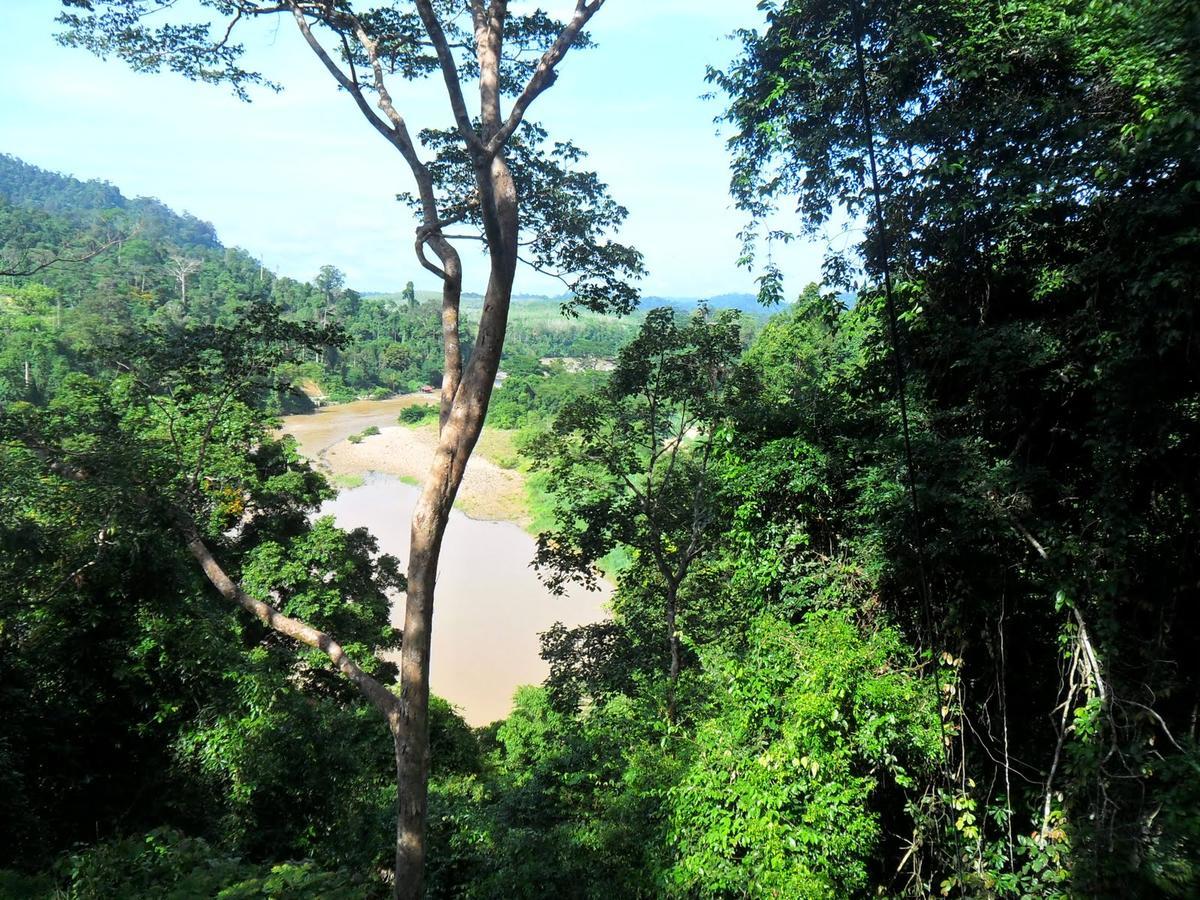 Delimah Guesthouse Kuala Tahan Eksteriør bilde