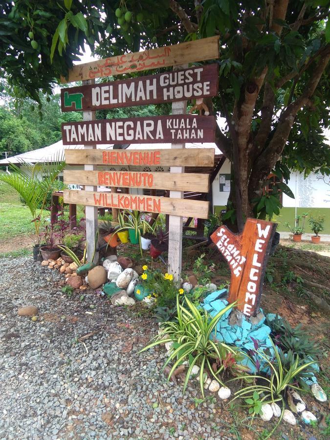 Delimah Guesthouse Kuala Tahan Eksteriør bilde