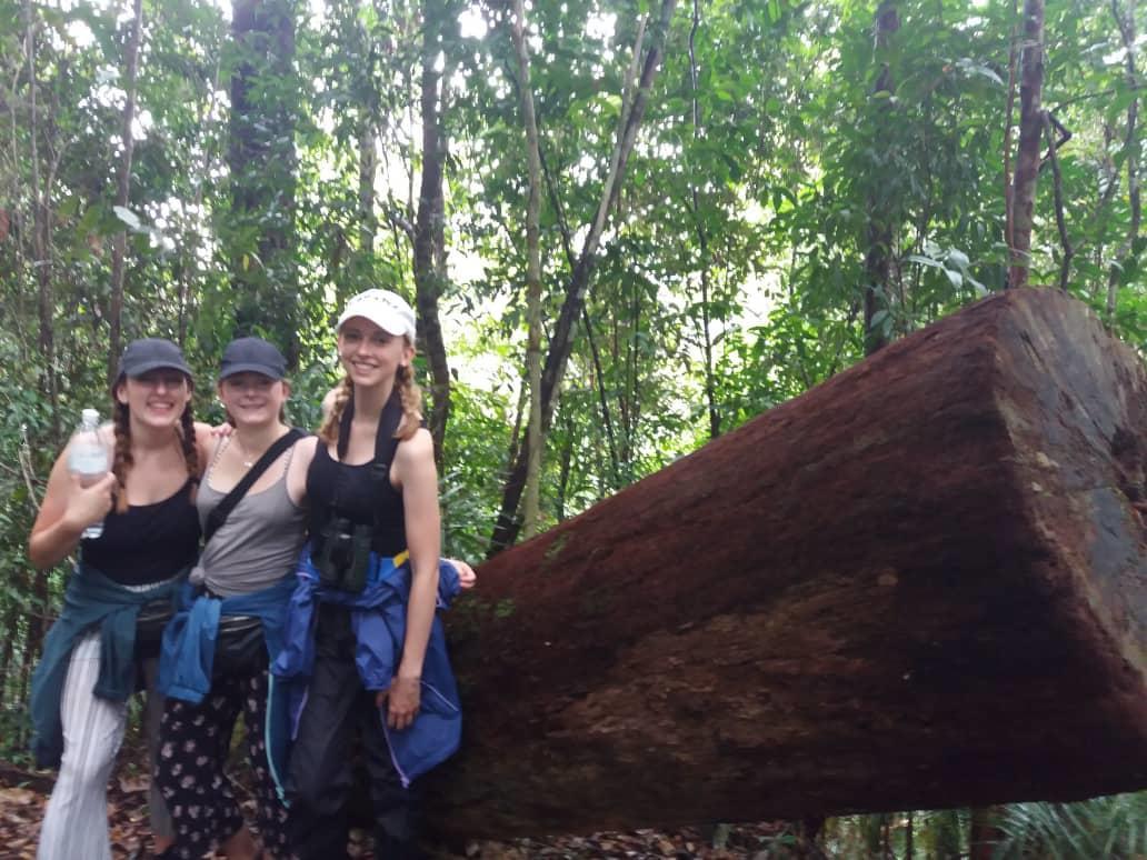 Delimah Guesthouse Kuala Tahan Eksteriør bilde