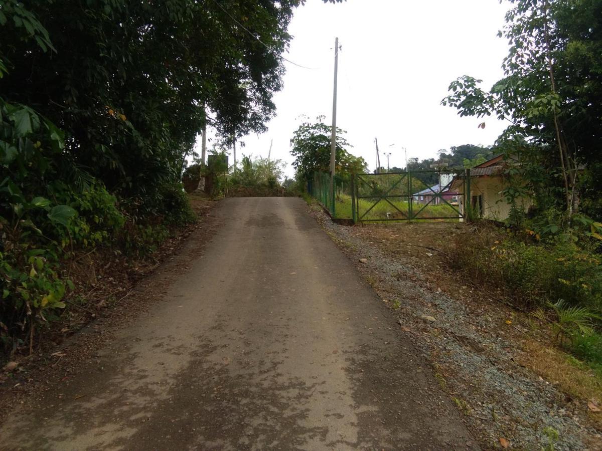 Delimah Guesthouse Kuala Tahan Rom bilde