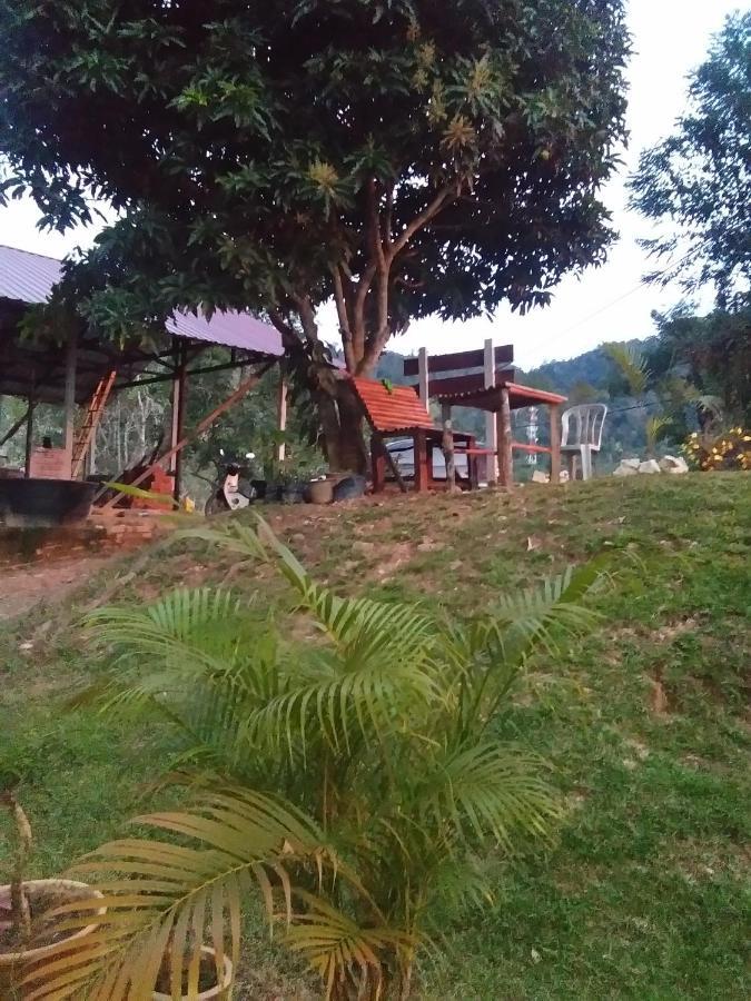 Delimah Guesthouse Kuala Tahan Rom bilde